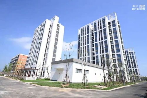 东津新区蓝领公寓建设完工
