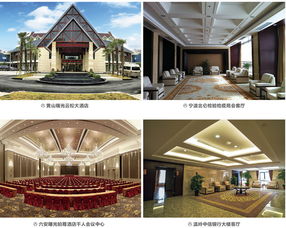 曙光控股集团